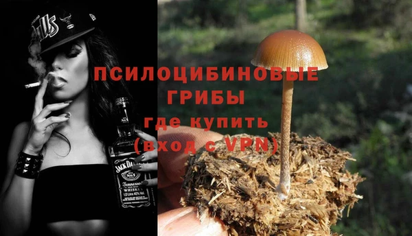 амф Алзамай