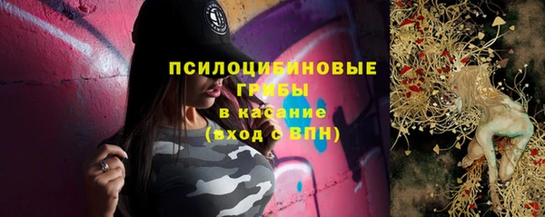 амф Алзамай