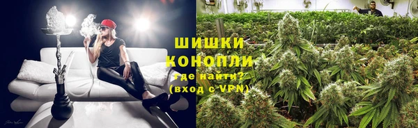 соль ск Алексин