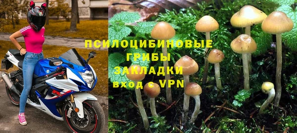 соль ск Алексин