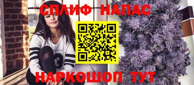 гидра Жуковский