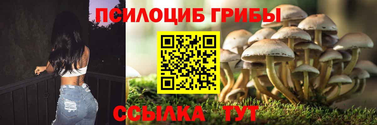 Галлюциногенные грибы Psilocybe Миасс