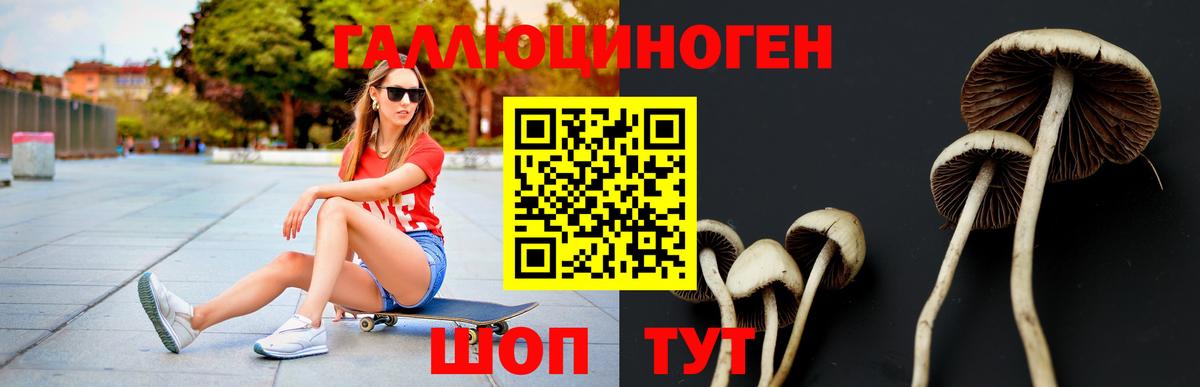 Миасс  Псилоцибиновые грибы GOLDEN TEACHER  Вход с VPN 